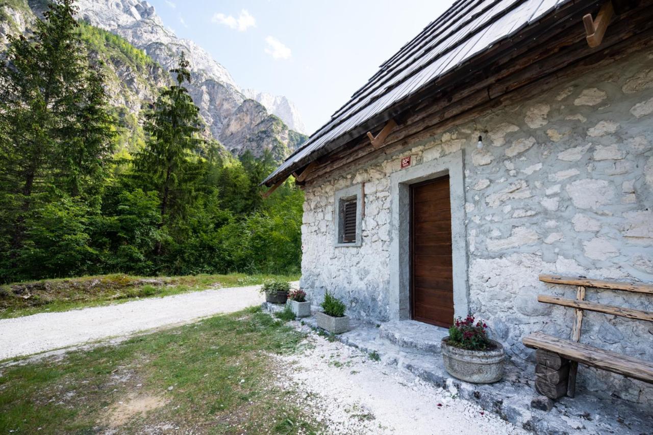 Mountain Heart Holiday House Трента Екстер'єр фото