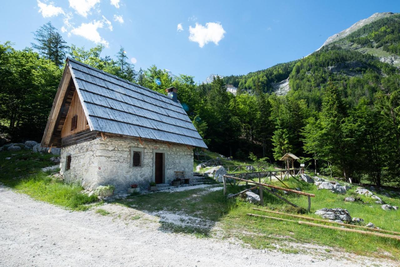 Mountain Heart Holiday House Трента Екстер'єр фото